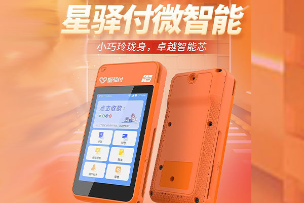 隆安国通微电签POS机